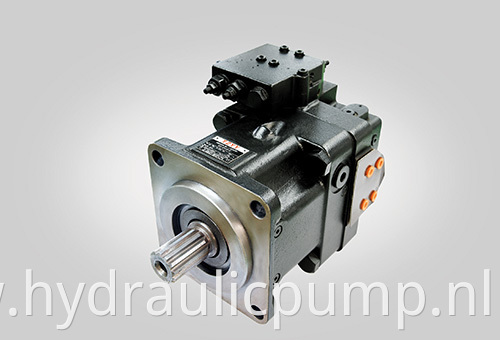 Swashplate plunger pump